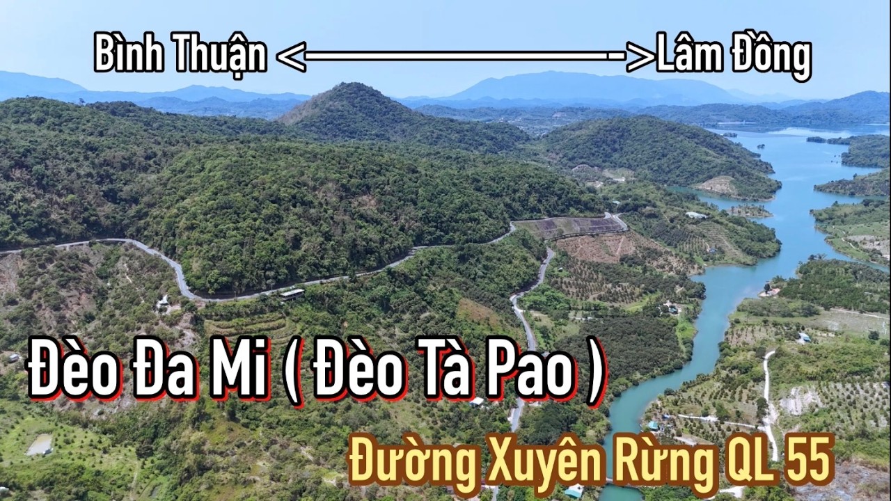 Cung đường đ&egrave;o Đa Mi ( đ&egrave;o T&agrave; Pao ) tr&ecirc;n quốc lộ 55 nối B&igrave;nh Thuận với L&acirc;m Đồng.