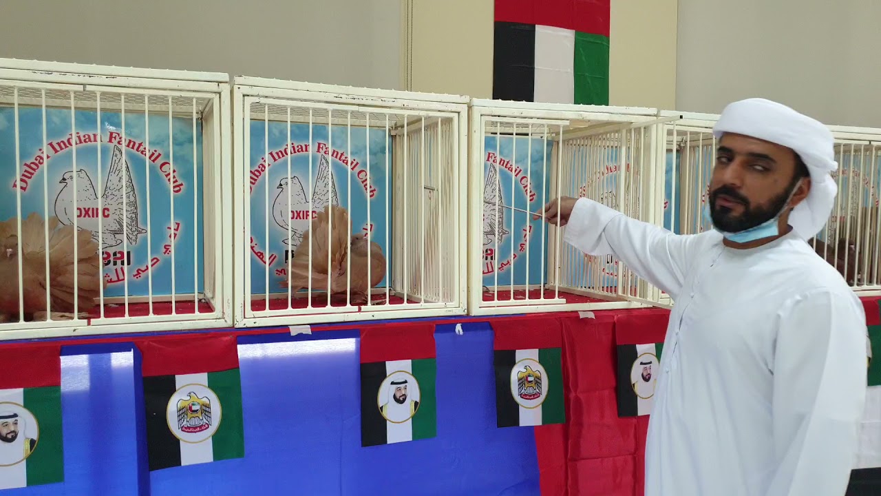 ٦ أكتوبر ٢٠٢١