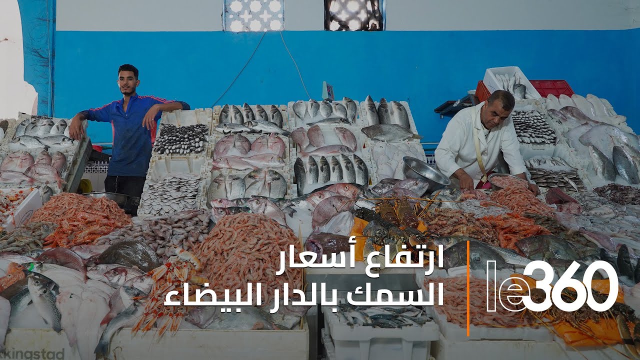 جولة بالسوق المركزي بالدار البيضاء.. أسعار السمك تواصل الارتفاع