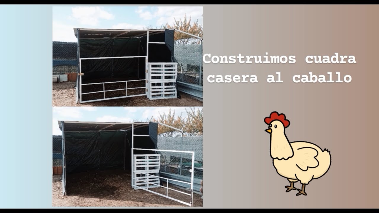 Cómo hacer cuadra casera al caballo 🐴🏚️ También arreglamos un poco la caseta de las cabras