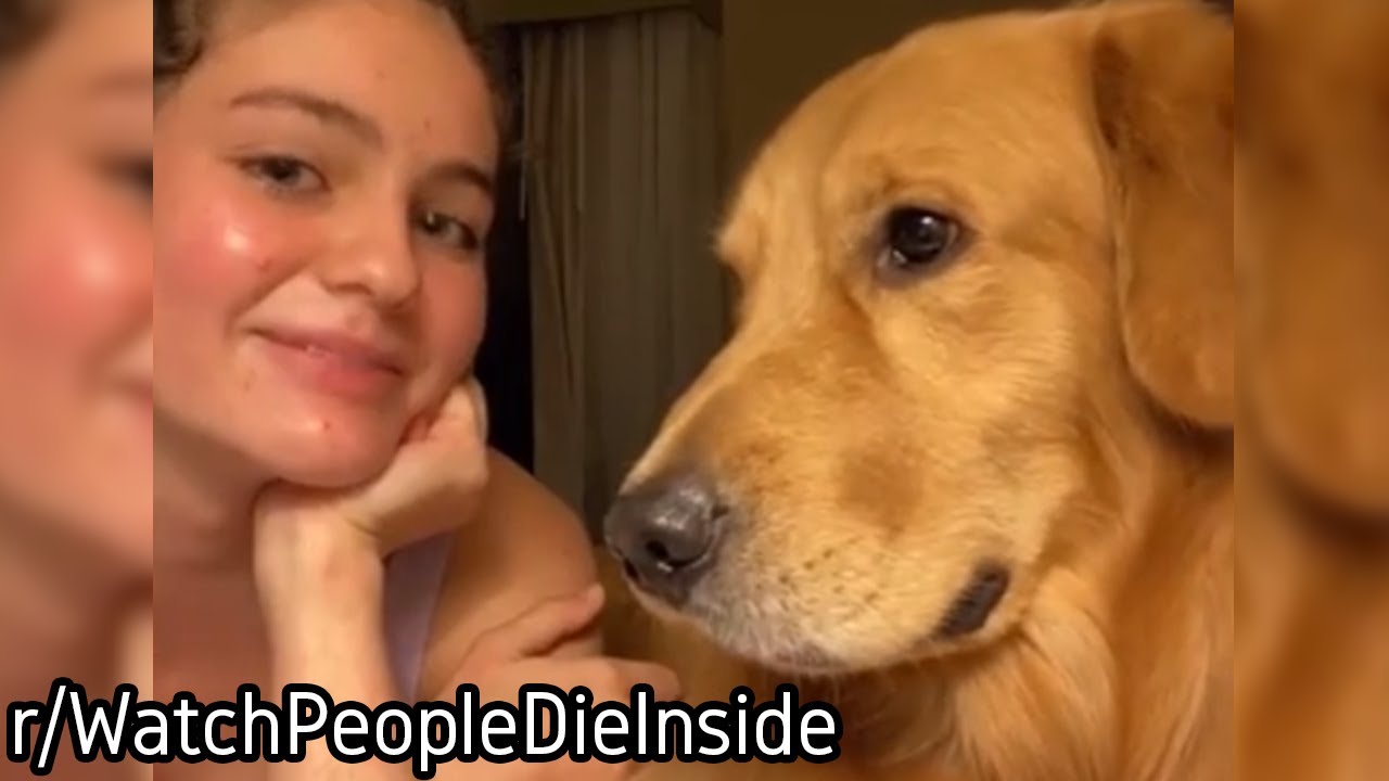 r/WatchPeopleDieInside | He Found out he was adopted...