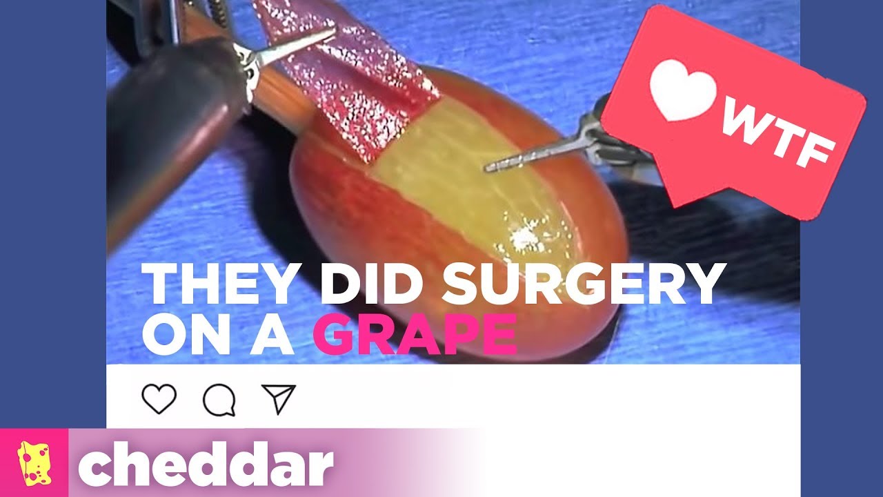 WE ACCIDENTALLY CREATED A VIRAL MEME