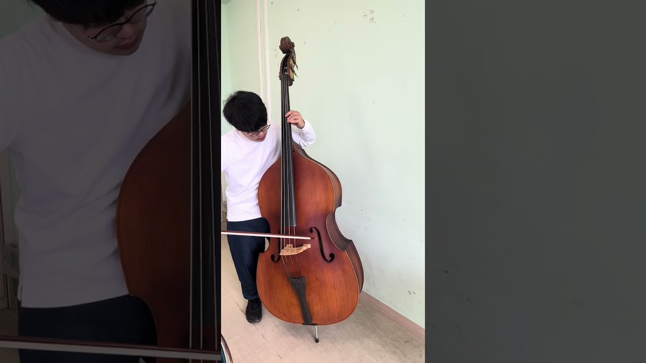 ハルシュタット コントラバス 弾き納め