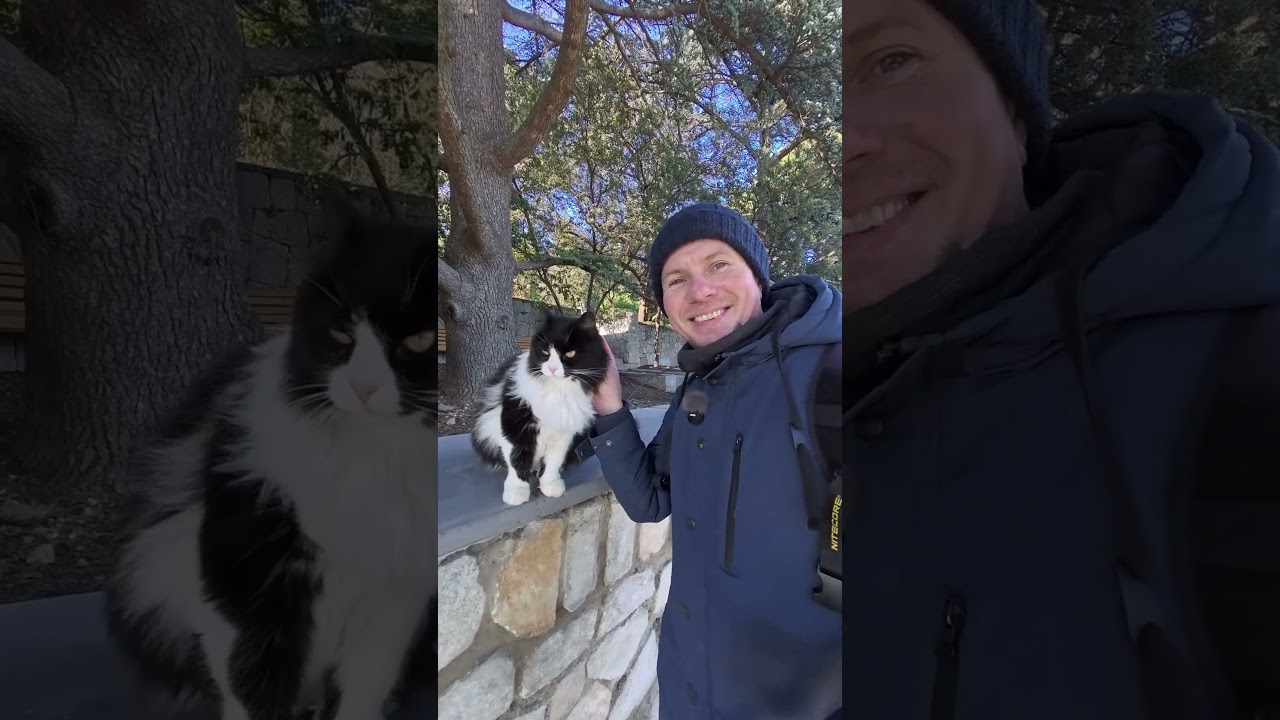 Кореиз,  ролик прикрепил)