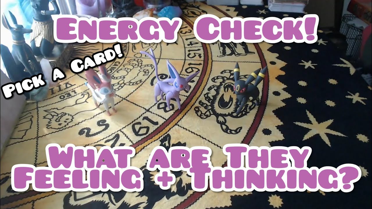 💕 What Are They Thinking & Feeling Right Now? 💕 (Timeless)