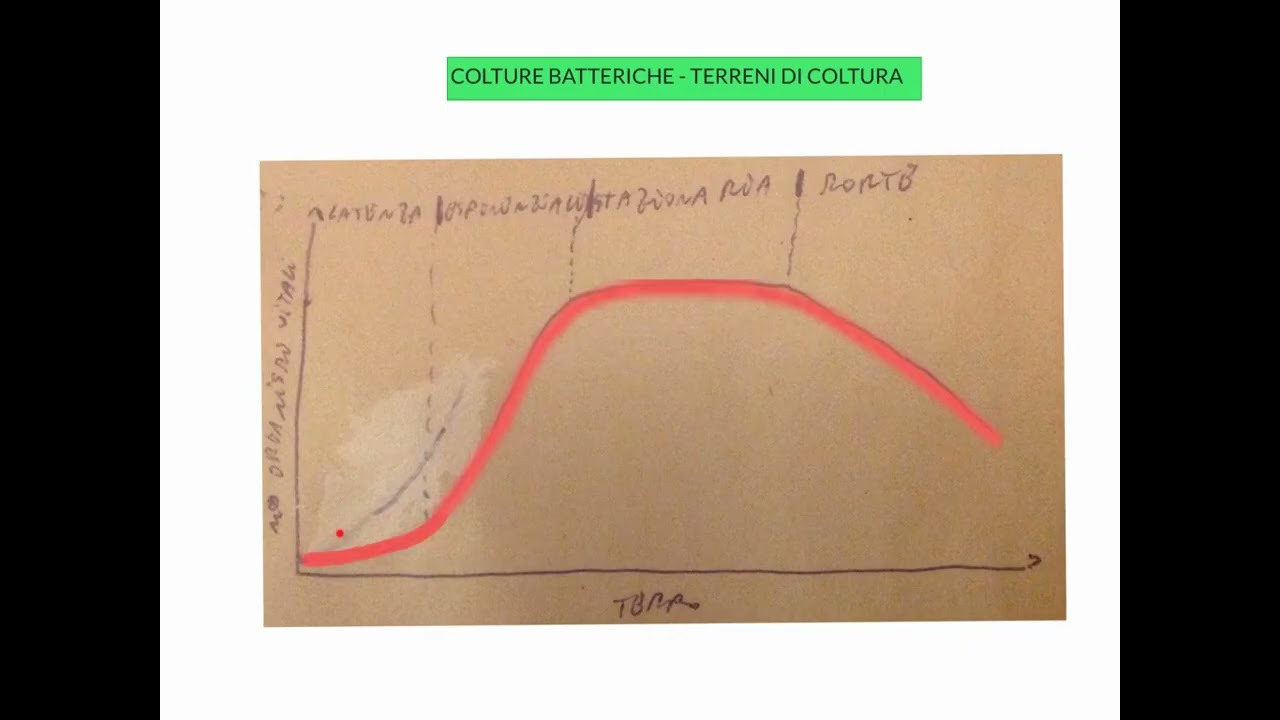 CORSO DI MICROBIOLOGIA GENERALE - LEZIONE 6