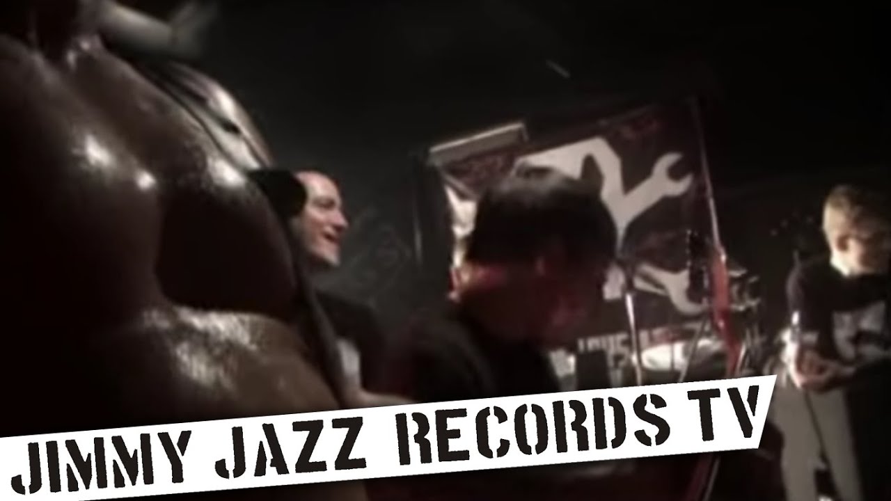 THE ANALOGS - Zjednoczeni