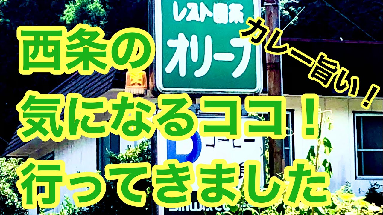 (現在休業？)【オリーブ】でカツカレー！愛媛の濃い〜ラーメンおじさん(2021.7.27 349店舗目)