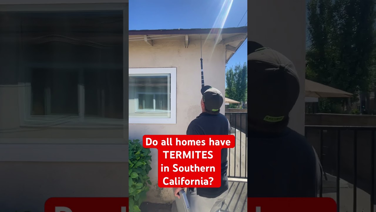 Orange County CA Homebuyer Inspections - Termite Inspection