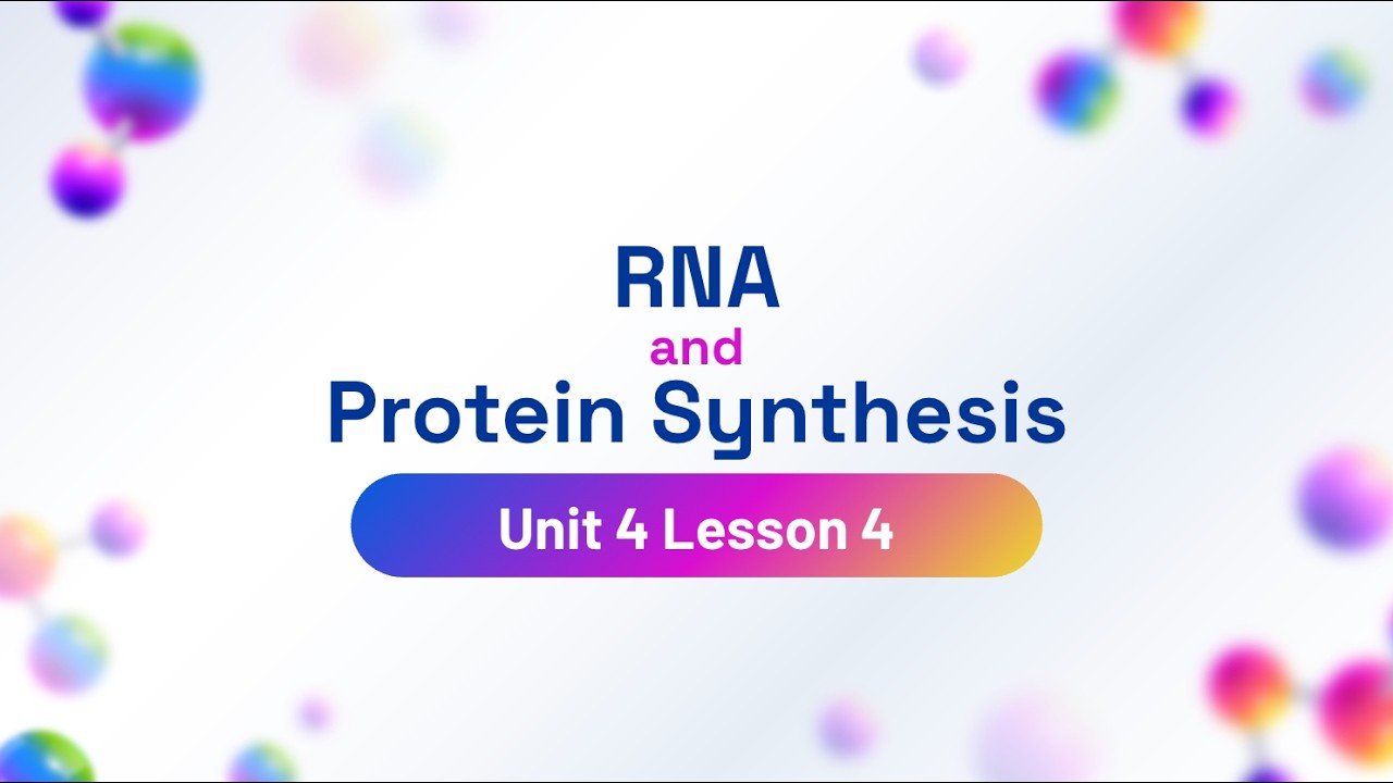 U4L4: RNA & Protein Synthesis