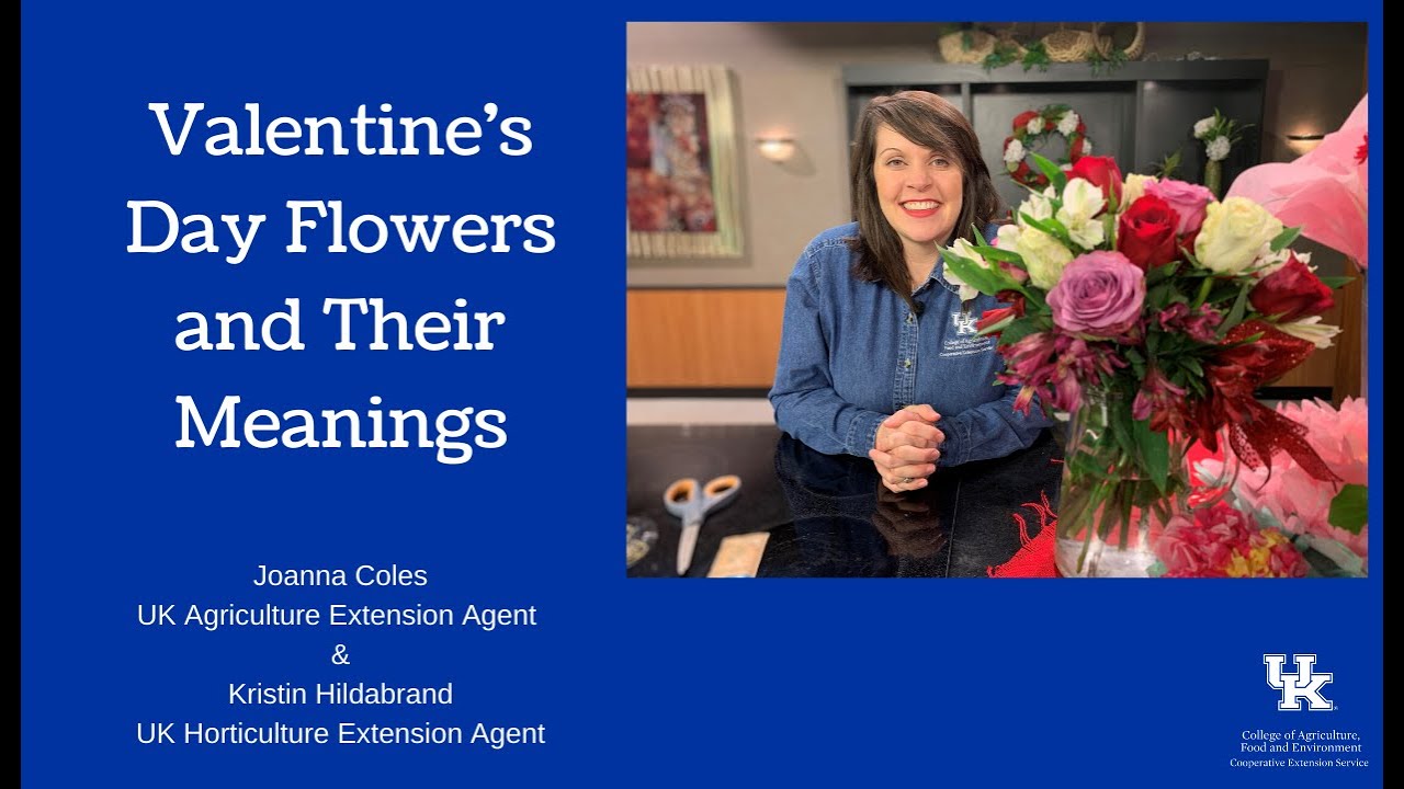 Valentine's Day Flowers and Their Meanings