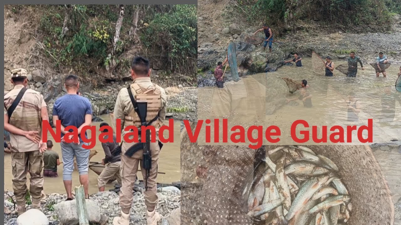 NVG 68 Raising Day New Pangsha Village Guards picnic at Lang river 1/03/25
