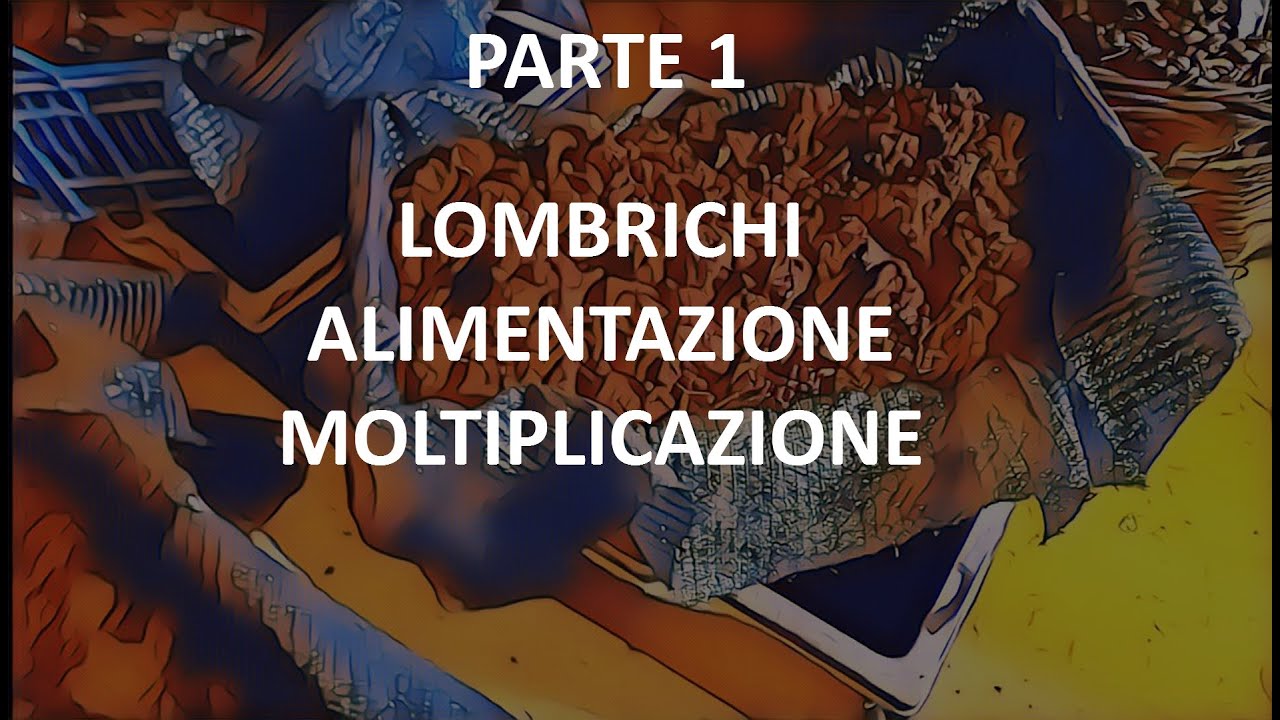 #LOMBRICOLTURA Alimentazione e Moltiplicazione PARTE 1