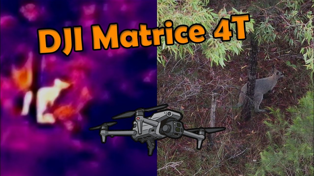 DJI Matrice 4T - Spotting heaps of wildlife at dawn