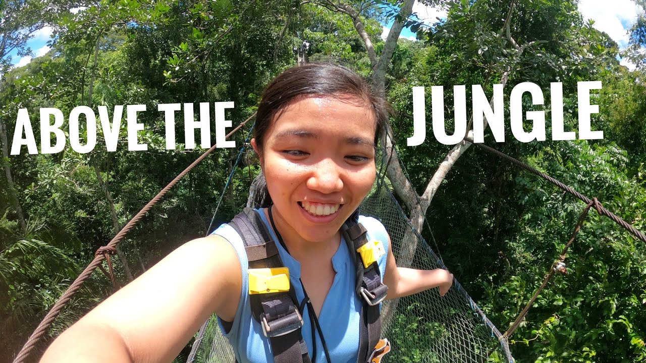 Peru Vlog Part 2: Canopy walk, Amazon fruits and bird watching | Puerto Maldonado, Peru 🇵🇪