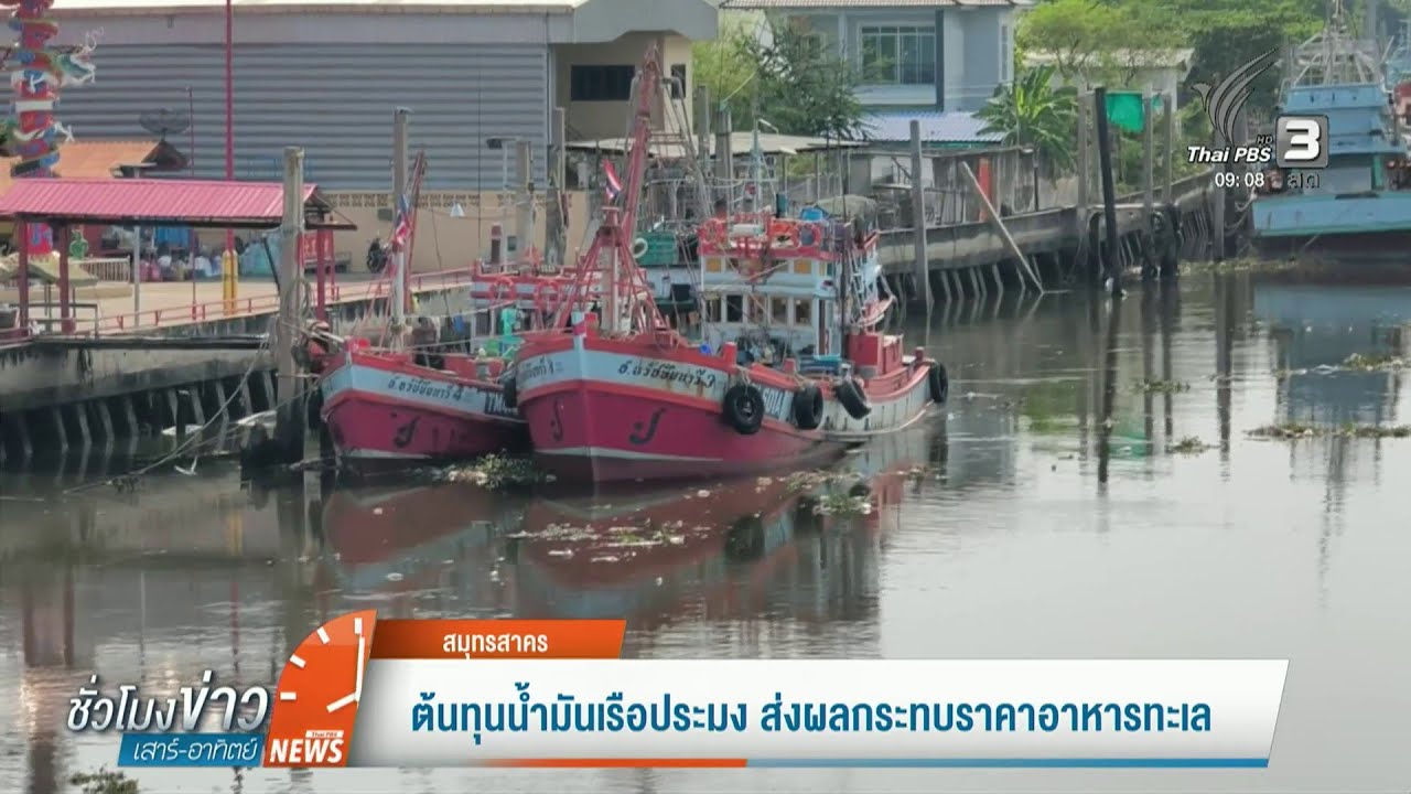 ต้นทุนน้ำมันเรือประมง ส่งผลกระทบราคาอาหารทะเล