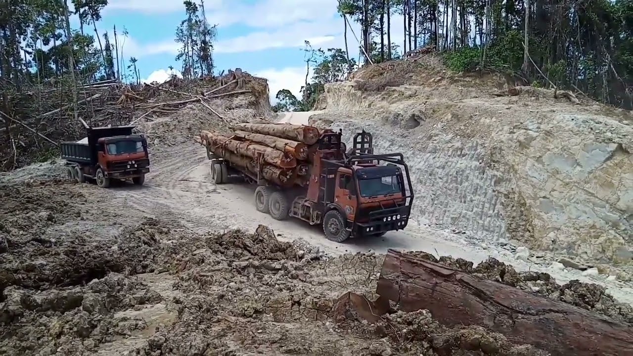 🛑LOGGING TRUCK# Going Down High Hill