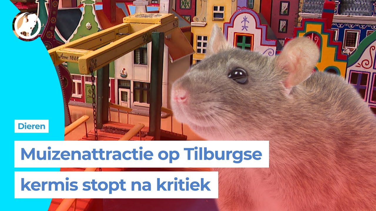 &lsquo;Blijf van onze cultuur af&rsquo;