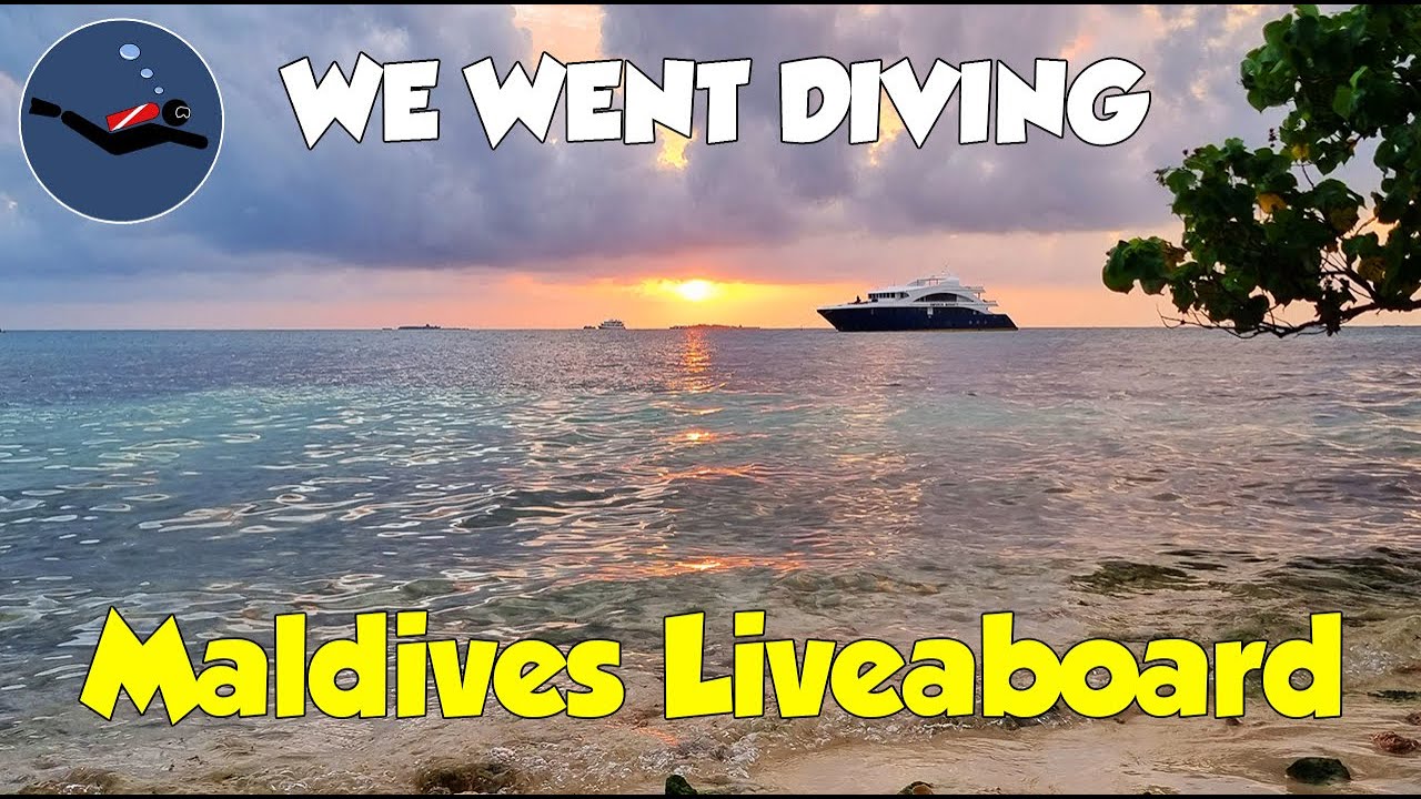 Maldives Liveaboard | Emperor Serenity | September 2023