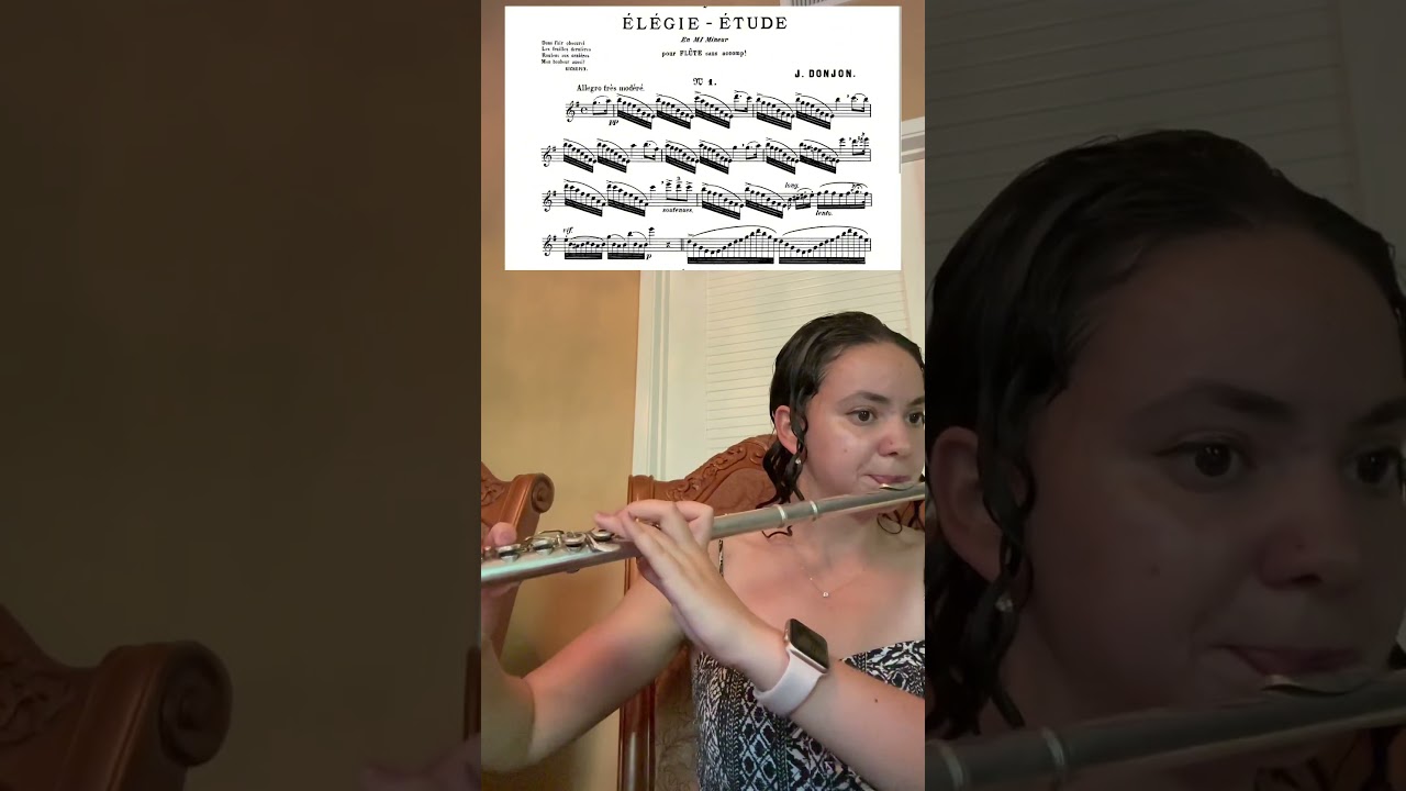 TMEA Etude #1 #flute#tmea#band#flutist