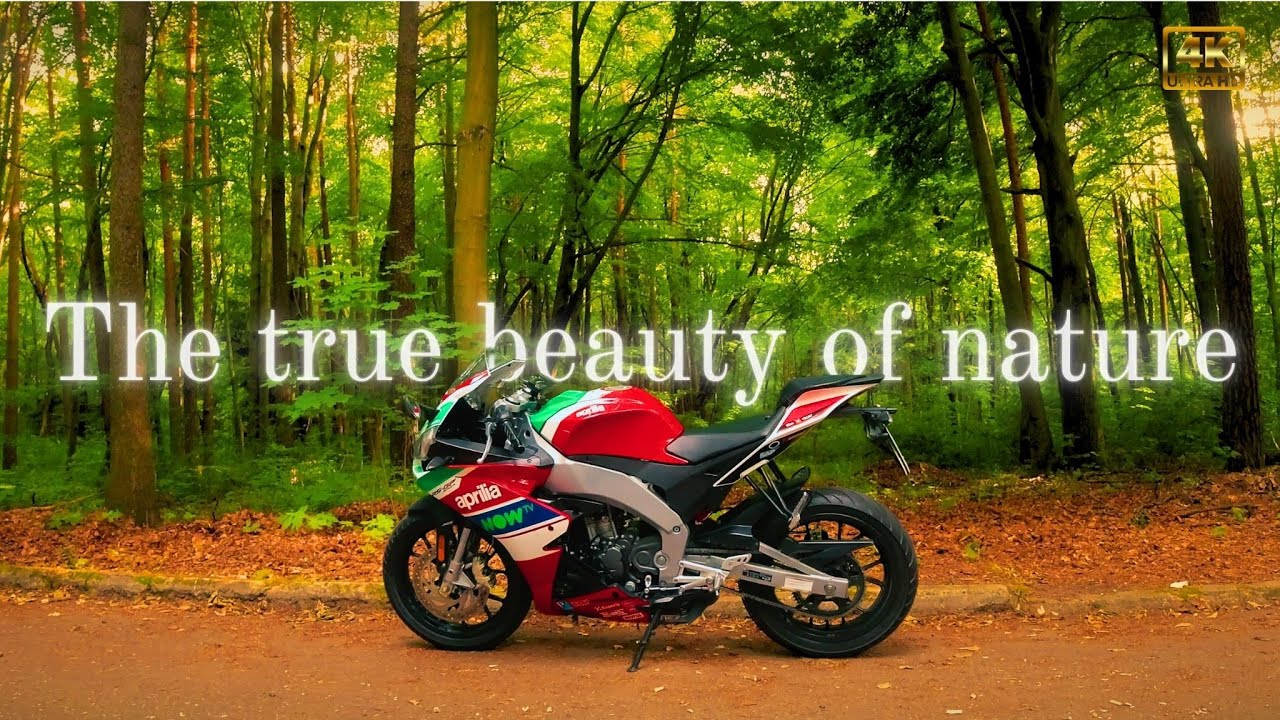 The True Beauty of Nature - Aprilia RS4 125