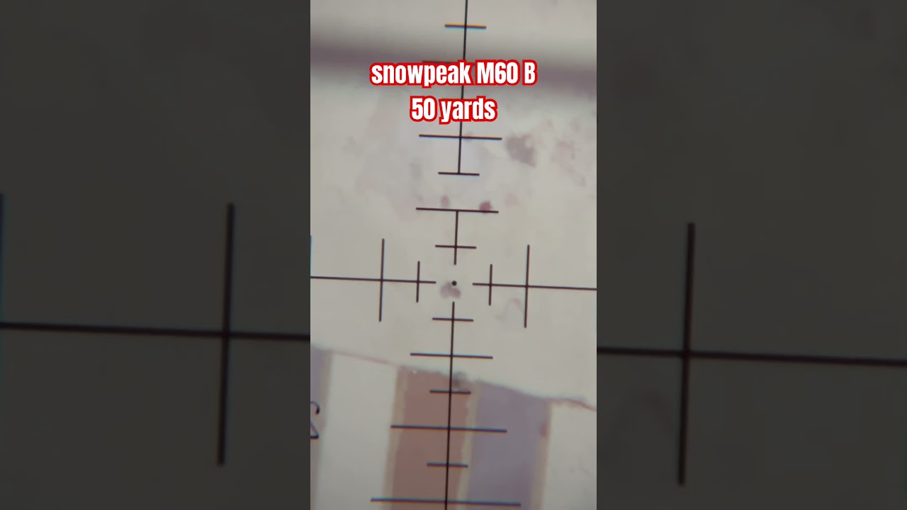Snowpeak M60B Accuracy Test At 50 yards #unbelievable #airgun #accuracy