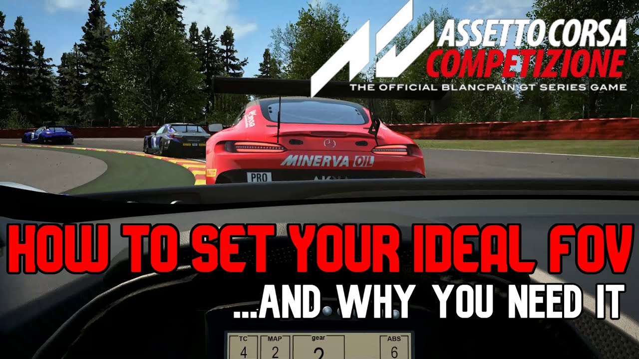 Assetto Corsa Competizione FOV Settings