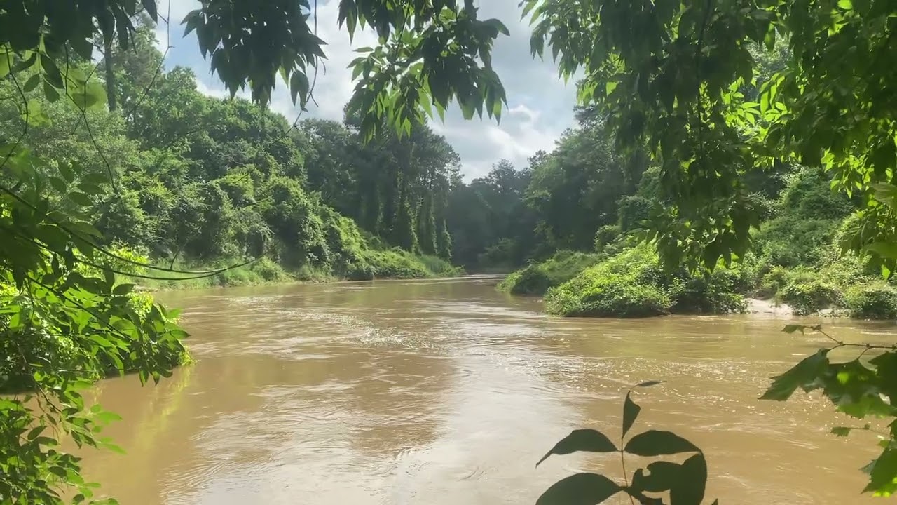 A Rain Swollen Cypress Creek  Beautiful  26May2021