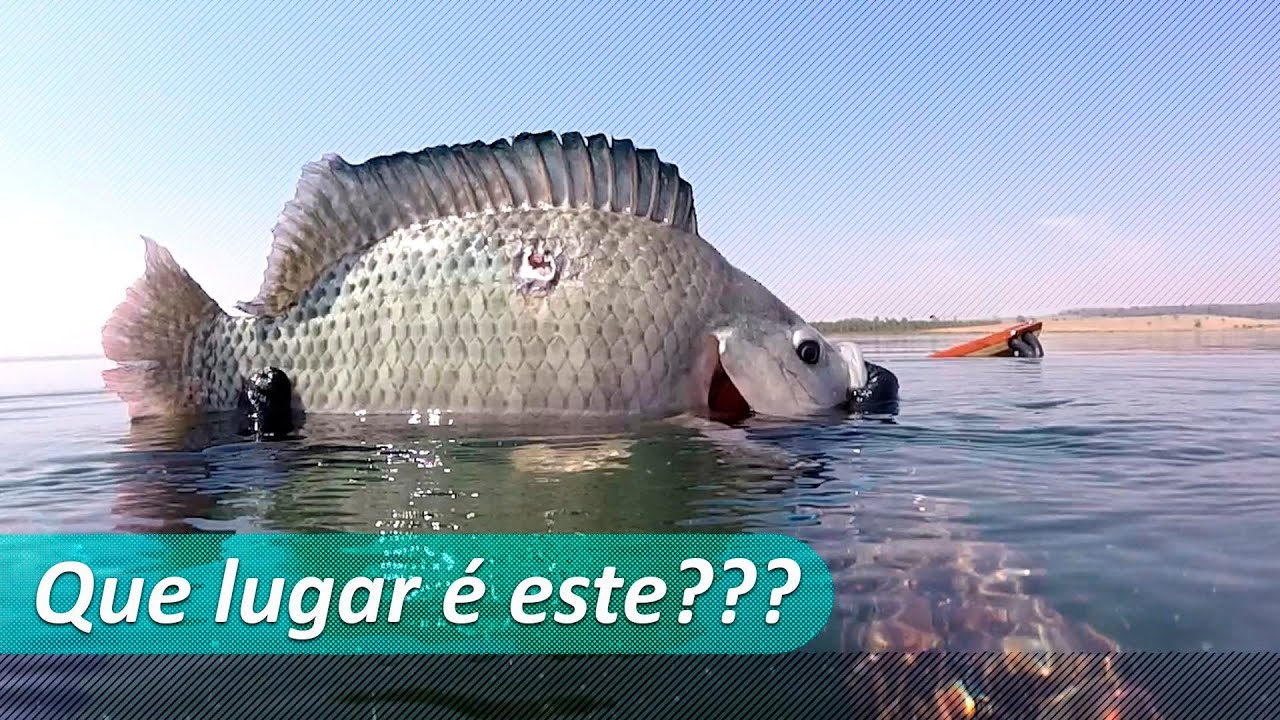 PESCA SUB - RIO TIETÊ 2019 - ATASUB