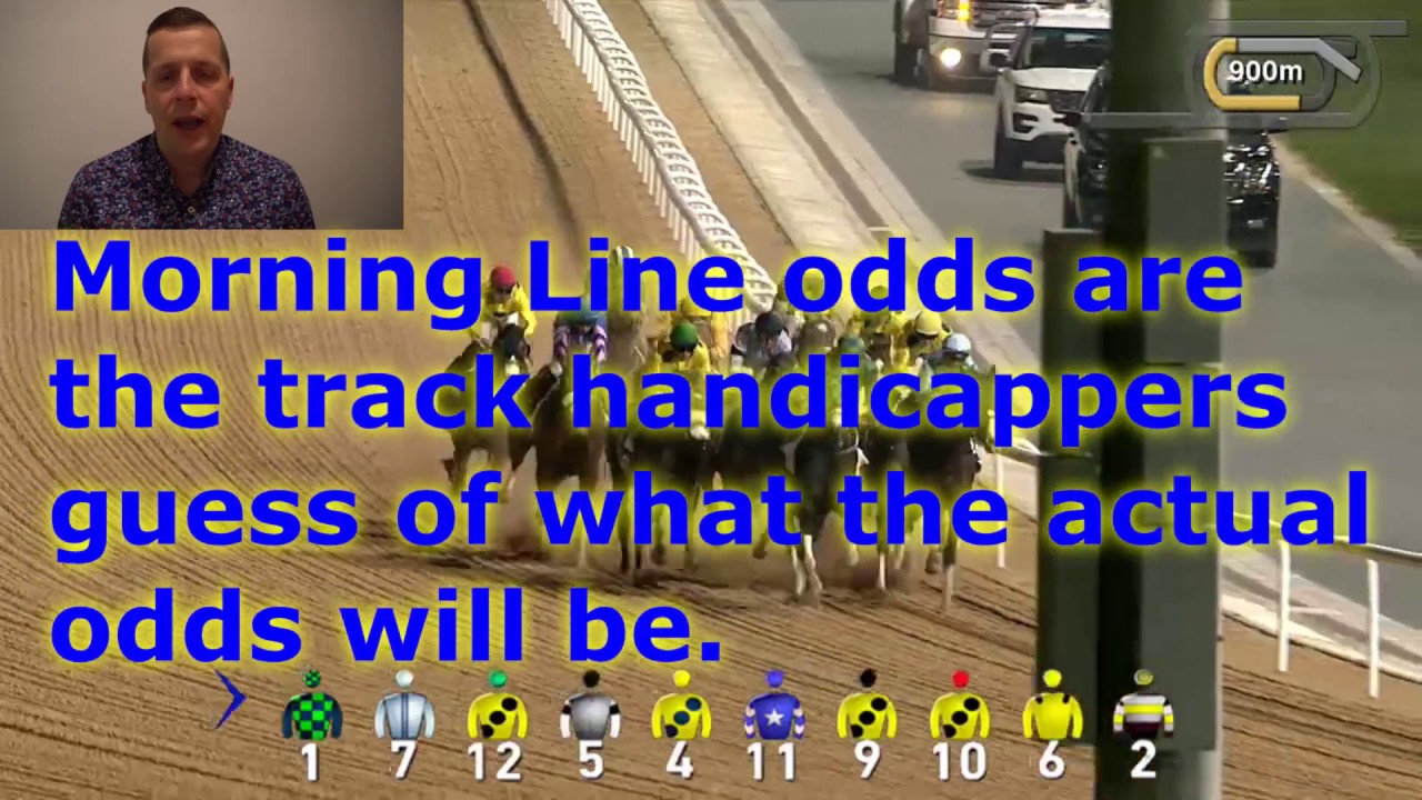 How are odds calculated in horse racing? Who sets the odds? (Tip #4)