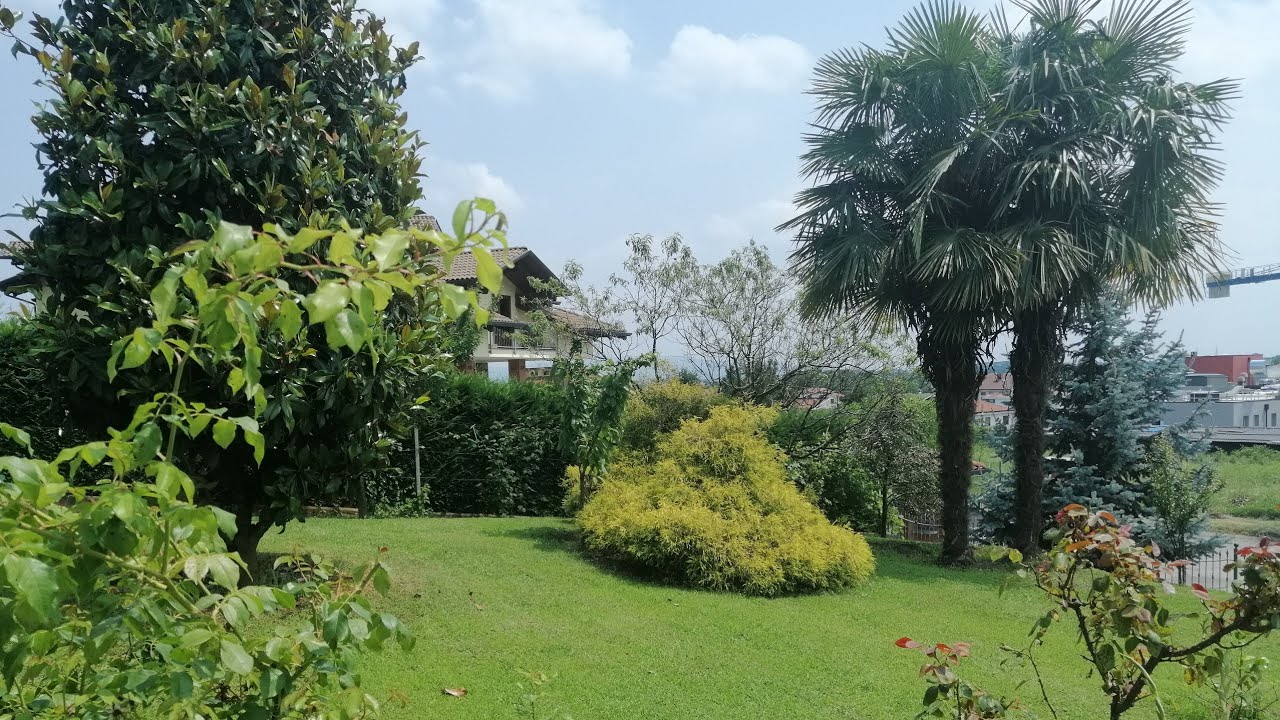 🌱Horto na Italia - saiba o que os italianos plantam no jardim🌾