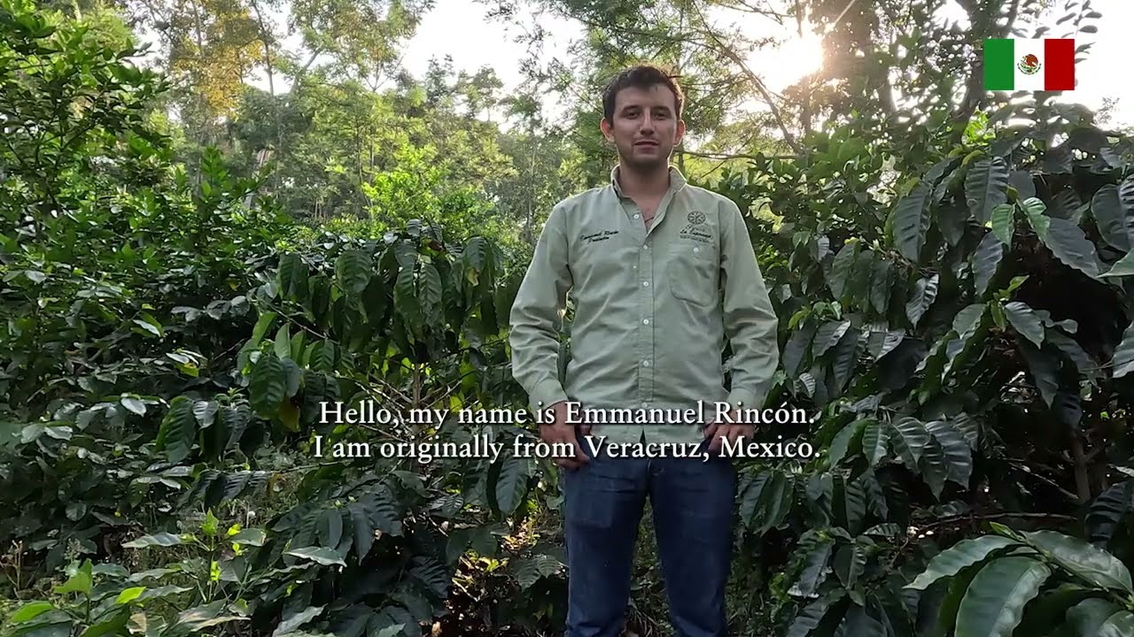 MX | Historia Emmanuel Rincón, participante Specialty Coffee Association 2024