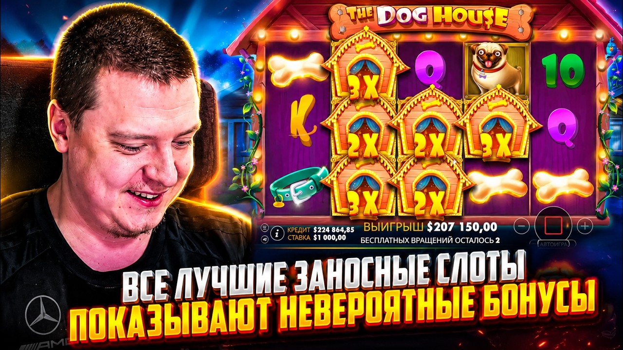 Новые заносы Мелстроя в Zeus vs Hades, F0rtune Giza, Sweet Bonanza 1000, Dog House, Sugar Rush 1000