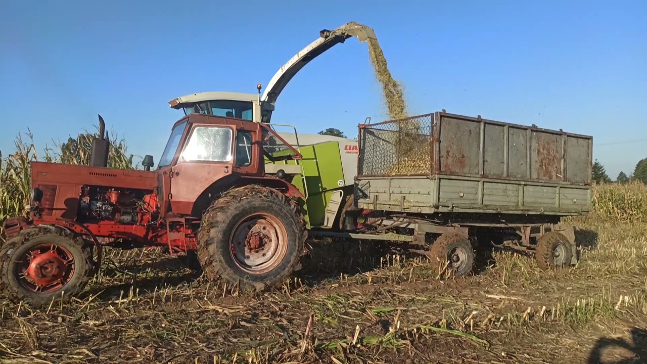 Akcja Kukurydza 2021 MTZ CLAAS John Deere