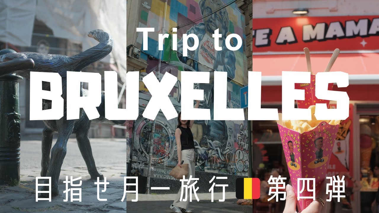 旅行VLOG：弾丸6時間ベルギー🇧🇪ブリュッセル観光｜日帰り｜本場のワッフルはやっぱ違った！｜#目指せ月一旅行✈︎第四弾