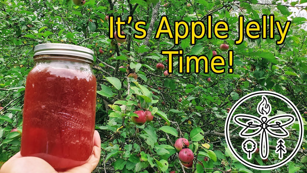 Easy and Simple Apple Jelly Recipe! | All Natural And Delicious