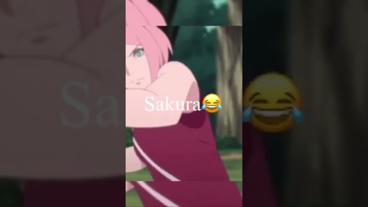 Borushiki vs Sakura