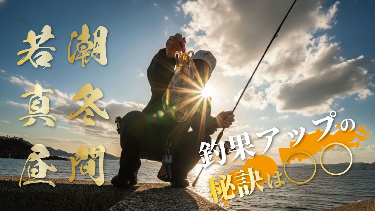 真冬の若潮デイエギング。見えてるイカを獲る。 #エギング #釣り