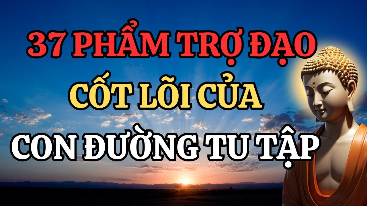 Tại Sao 37 Phẩm Trợ Đạo Là Cốt Lõi Của Con Đường Tu Tập ???