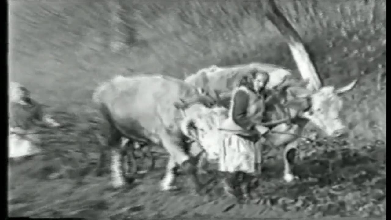 Brănești-Ilfov(partea I - istoria )