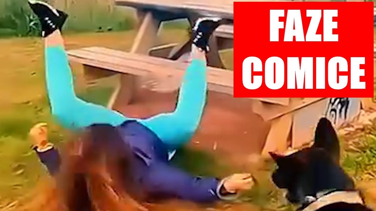 😄 Faze comice 😄 Dorel 😄 Pisici amuzante 😄 &Icirc;ncearcă să nu r&acirc;zi 😄 Faze amuzante 😄 Citește descrierea