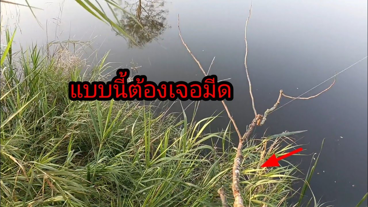 แบบนี้ต้องเจอมีด