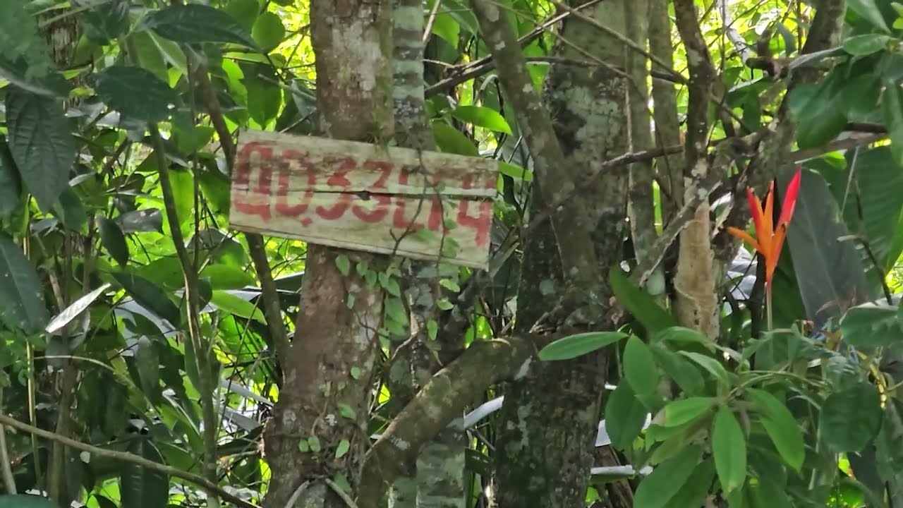 REF 206 - ABAIXOU PARA R$ 50 MIL  TERRENO COM 300 METROS DE ÁREA TOTAL EM ITANHAÉM LITORAL SUL DE SP