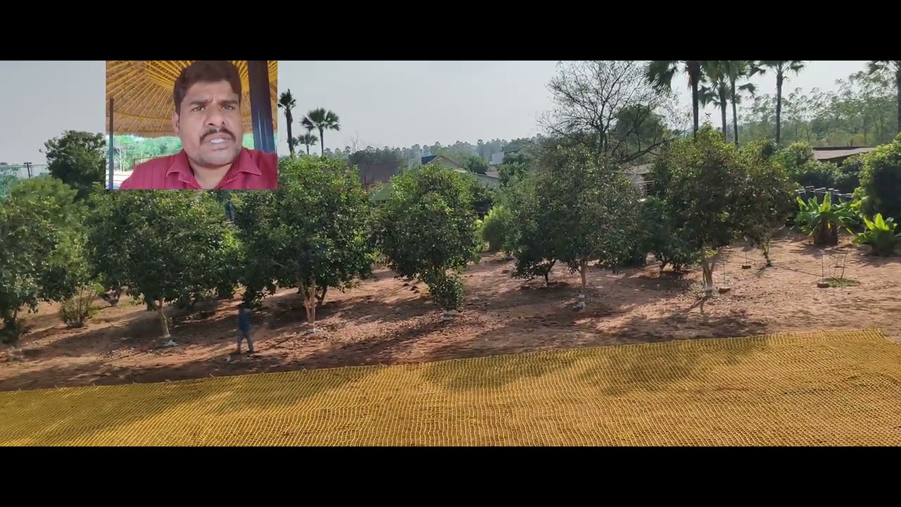 హైదరాబాద్  దగ్గర లో DTCP అప్రూవల్ ప్లాట్స్ రిసార్ట్స్ శ్రీ గంధం చెట్ల తో EMi సదుపాయం కలదు usmmycity