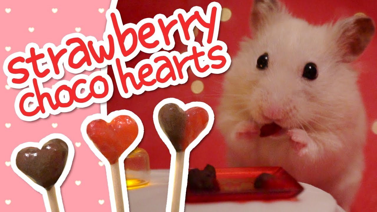 💘 Клубничные сердца Шоколадные | ХОМО-КУХНЯ 💘