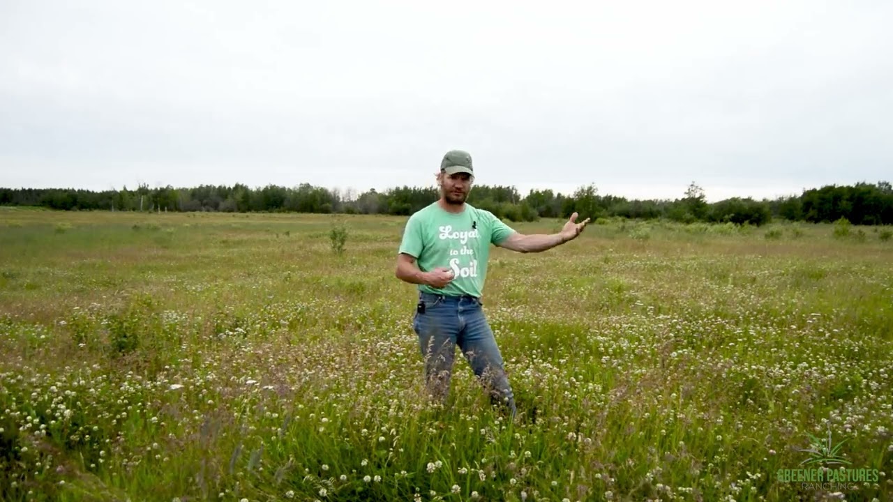 Deferred Grazing at Greener Pastures Ranching