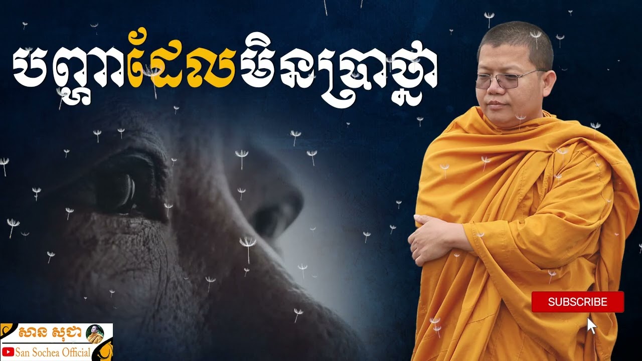 បញ្ហាដែលមិនប្រាថ្នា | SAN SOCHEA OFFICIAL