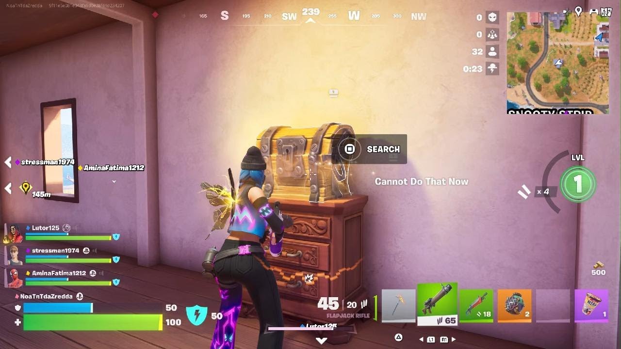 Fortnite  victory royale part 5