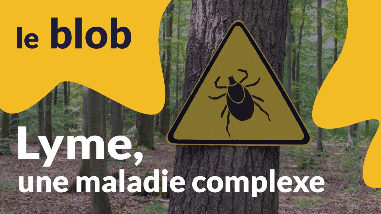 Lyme, une maladie complexe / Alain Trautmann | Interview