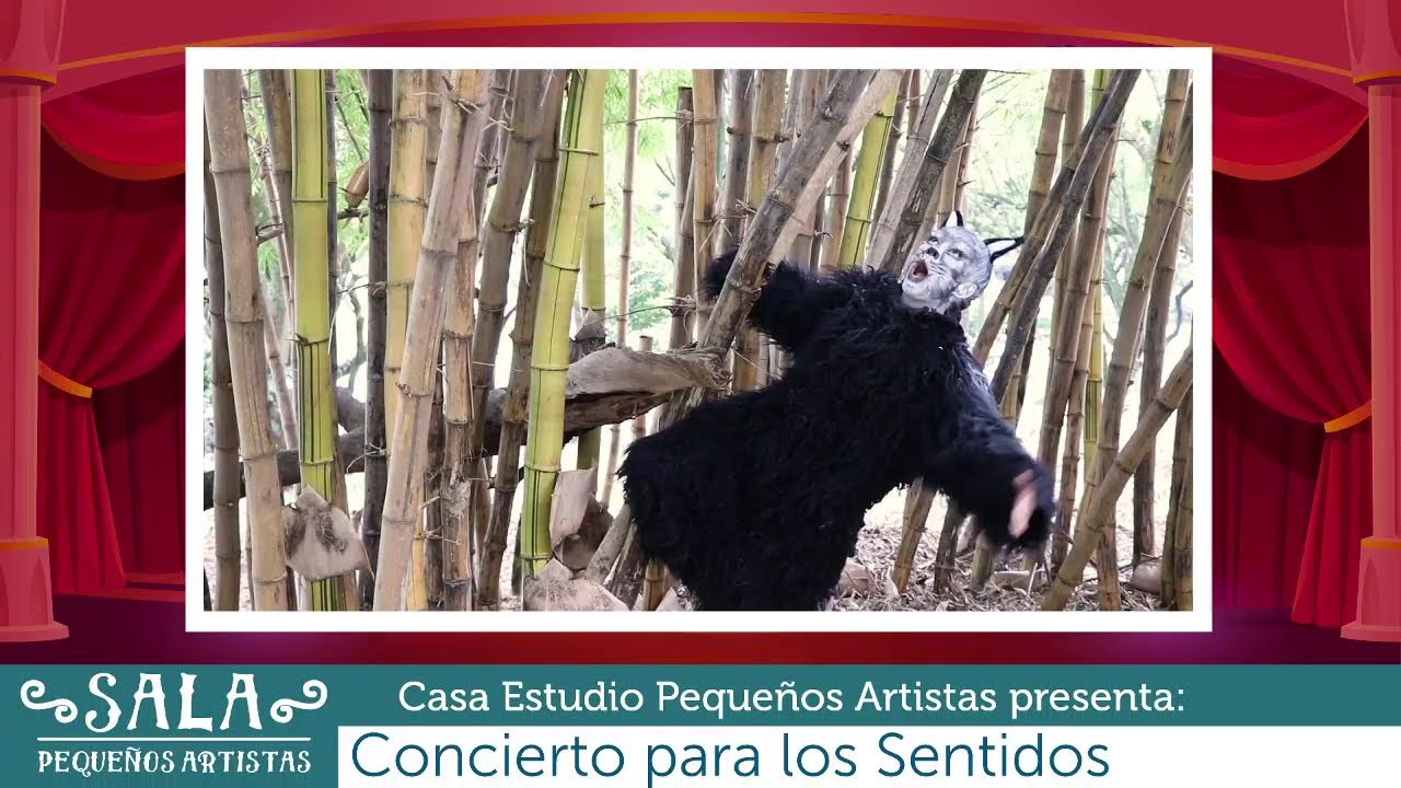 Un Concierto para los Sentidos